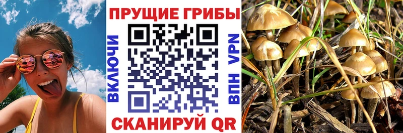 Галлюциногенные грибы мицелий  Сатка 